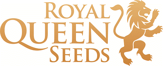 Graines de cannabis
Royal Queen seeds